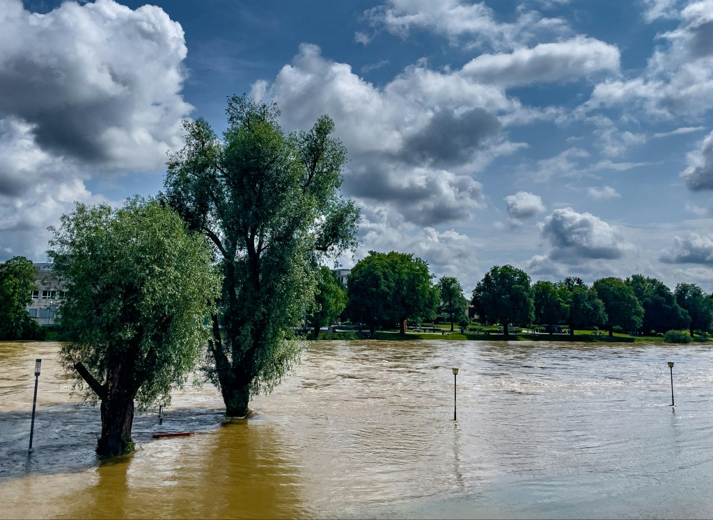 September 2024 Floods in Central and Eastern Europe: What happened and What We Can Learn (Part&nbsp;I)