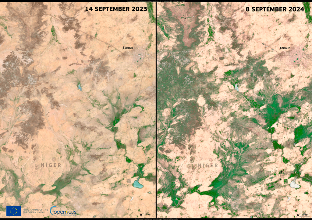 Sahara Floods: Climate Change or Rare&nbsp;Anomaly?