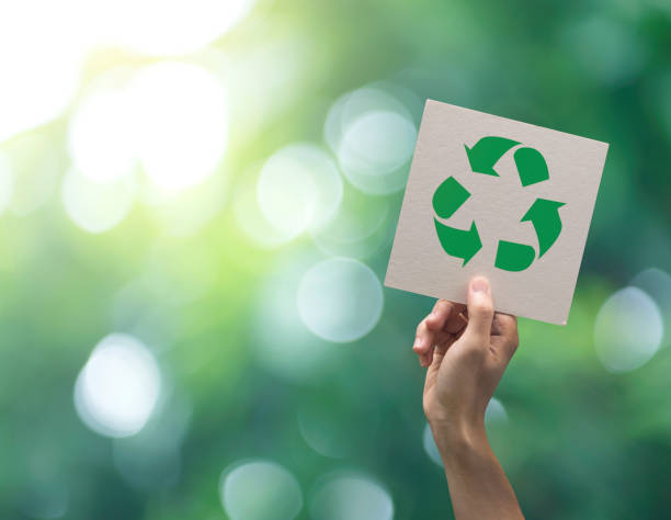 Why Your Recycling Actions Matter for the&nbsp;Planet