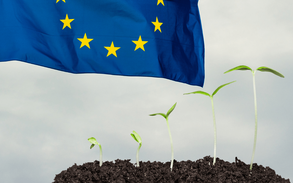 Beyond Policy: Examining the EU’s Progress on Climate Ambition&nbsp;Targets