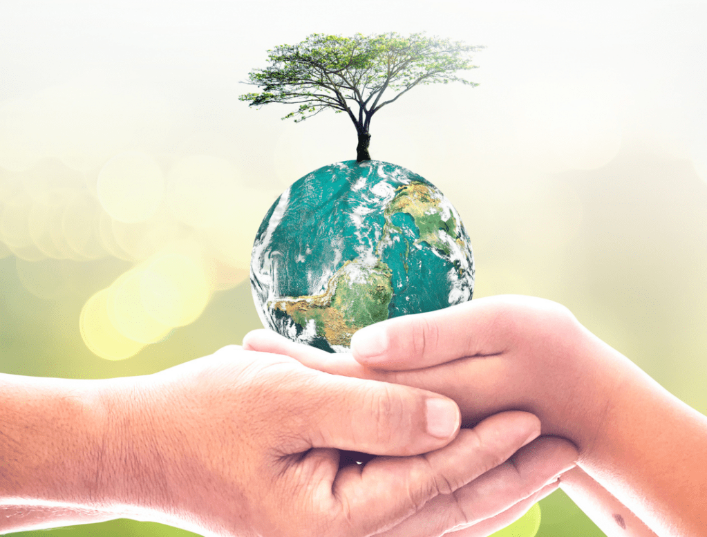 Understanding the Right to a Healthy&nbsp;Environment