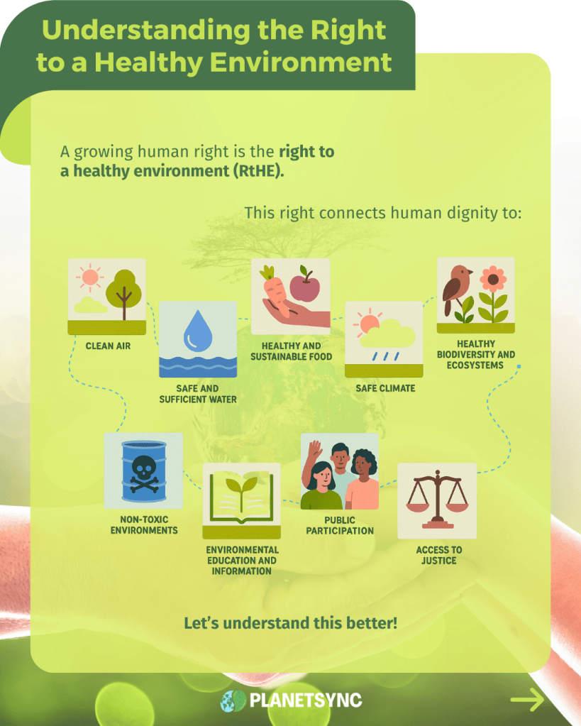 Understanding the Right to a Healthy Environment
